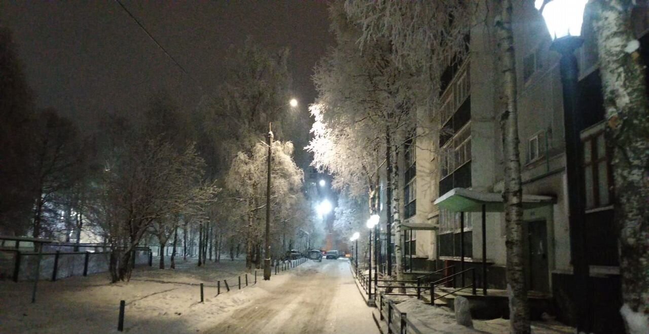 квартира г Архангельск р-н Ломоносовский округ пр-кт Дзержинского 3к/2 фото 17