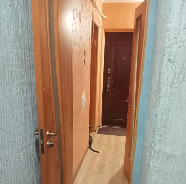 квартира г Курск р-н Сеймский проезд Магистральный 10 фото 4