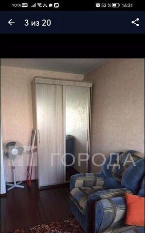 Берёзовая роща фото