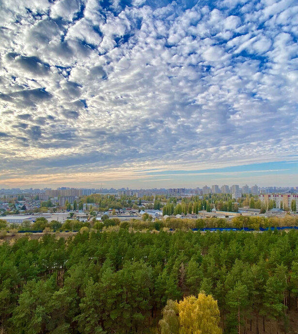 квартира г Воронеж р-н Железнодорожный б-р Содружества 1 фото 21