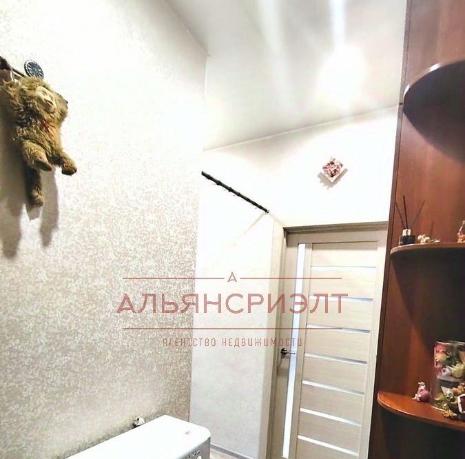 квартира г Новосибирск р-н Кировский ул Палласа 33 Площадь Маркса фото 9