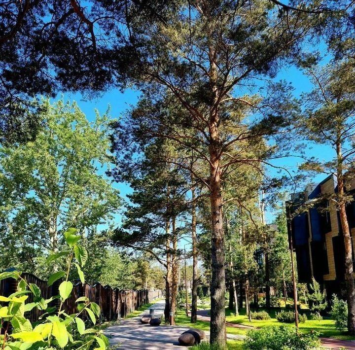 квартира г Сестрорецк дор Таможенная 1с/10 р-н Курортный 11к фото 20