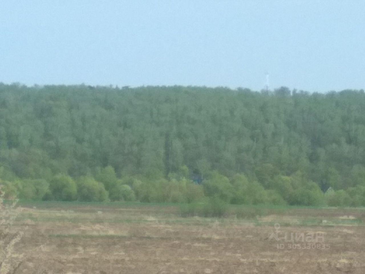 земля г Коломна ул Весенняя Васильево фото 2