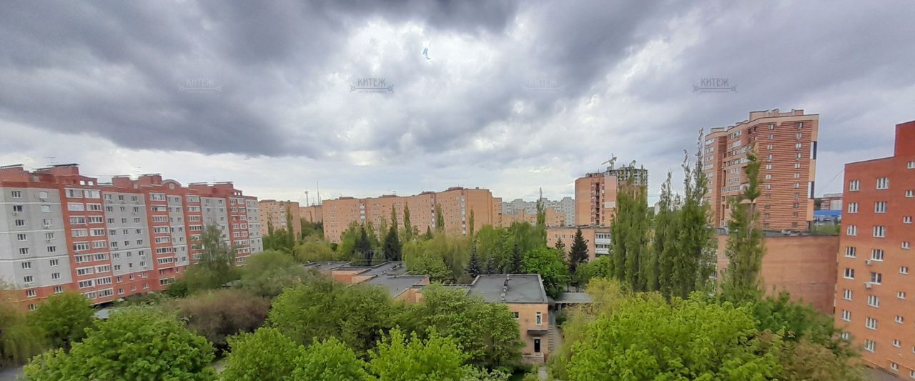 квартира г Калуга р-н Ленинский ул Георгия Димитрова 8 фото 15