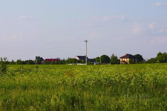 «Холмогоры» фото