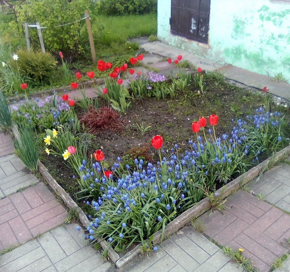 дом городской округ Богородский г Ногинск 42 км, СНТ Сирень, Горьковское шоссе фото 20