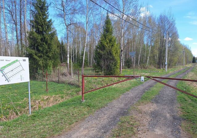 78 км, 11, садовое товарищество Озон, Дмитровское шоссе фото