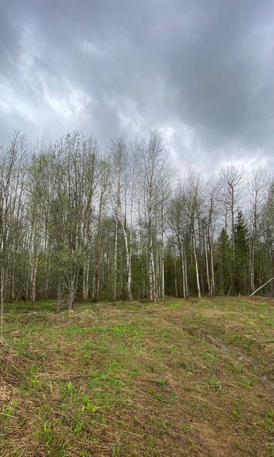 земля г Добрянка д Бобки загородный пос. Фэмили Парк Бобки-2, Пермь фото 19