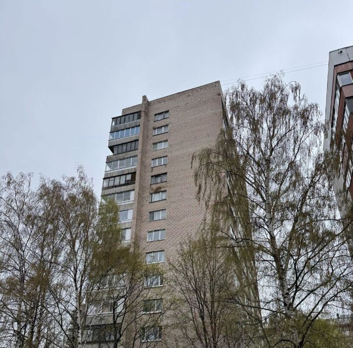 квартира г Санкт-Петербург метро Гражданский Проспект пр-кт Гражданский 129к/1 округ № 21 фото 15