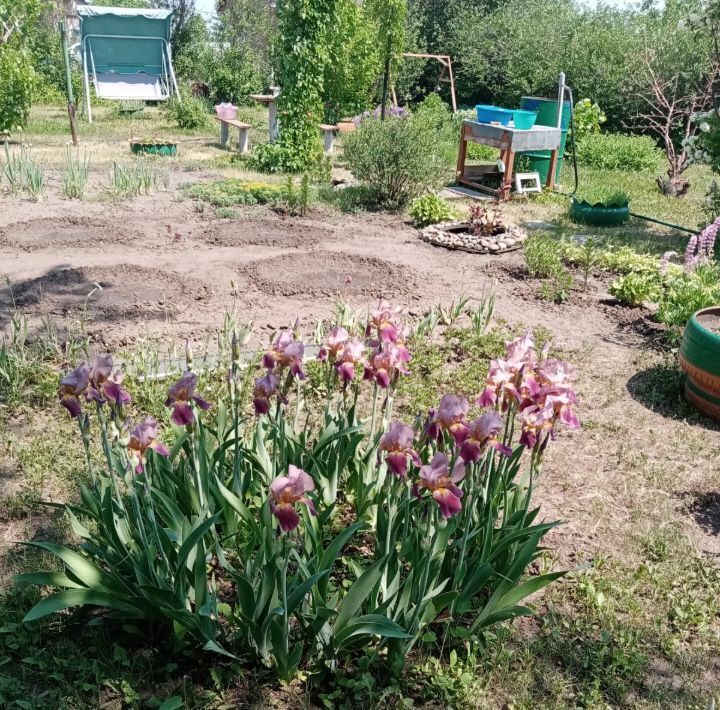 дом г Барнаул снт Росинка фото 13