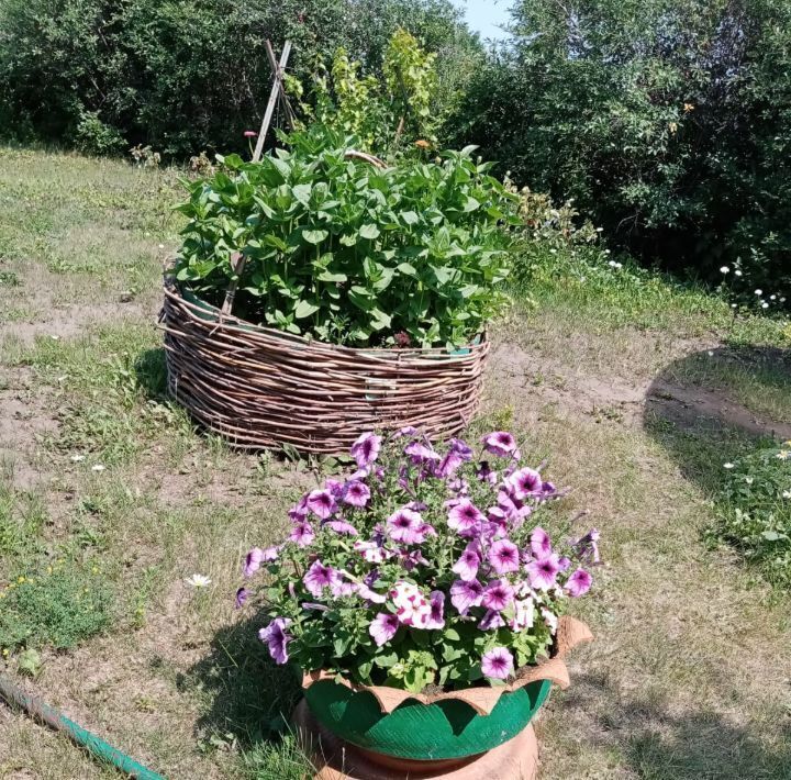 дом г Барнаул снт Росинка фото 17
