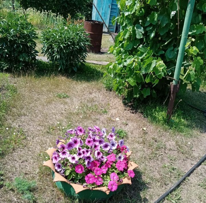 дом г Барнаул снт Росинка фото 18