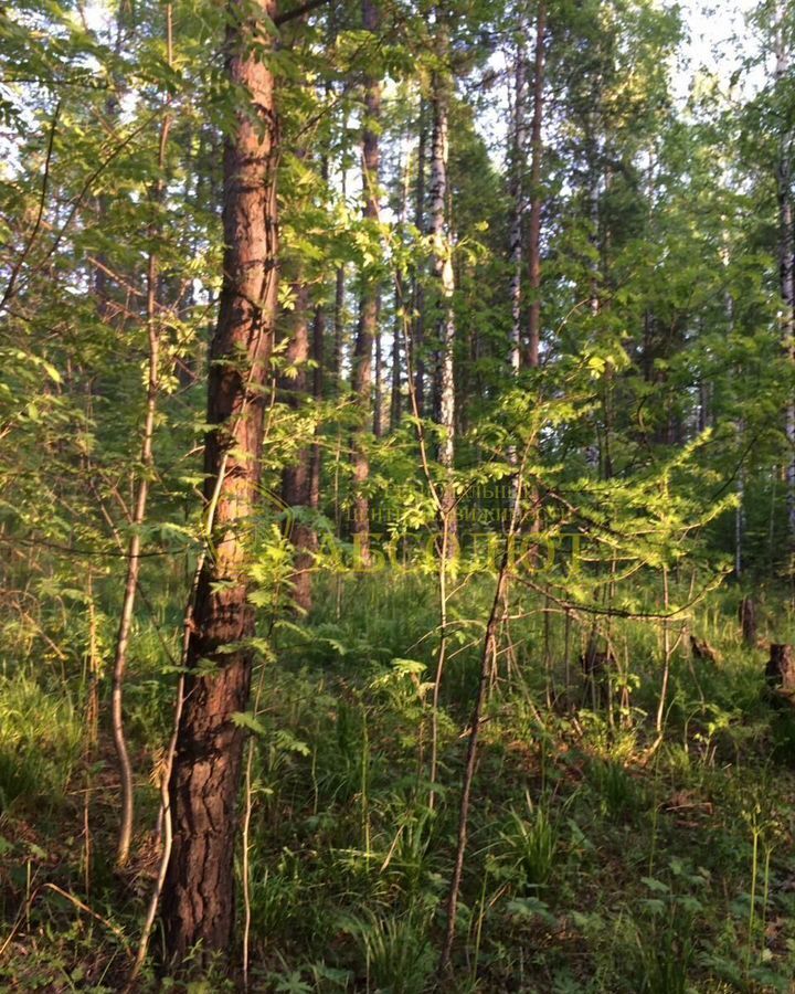земля г Дегтярск фото 6