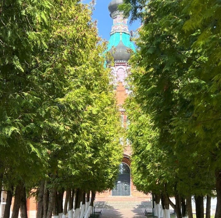 земля р-н Ярцевский г Ярцево ул Степная Ярцевское городское поселение фото 2