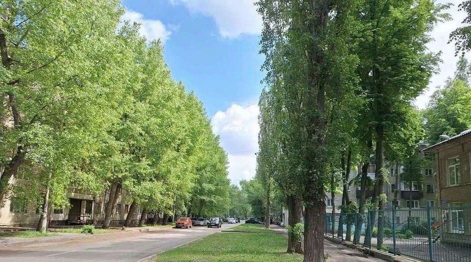 квартира г Воронеж р-н Коминтерновский ул Варейкиса 74 фото 13