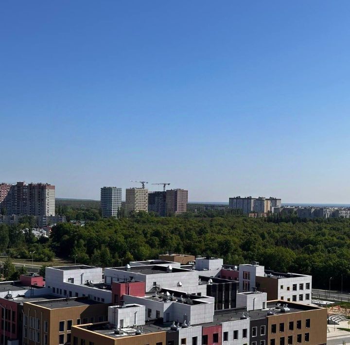 квартира г Воронеж р-н Центральный ул Загоровского 13к/1 фото 26