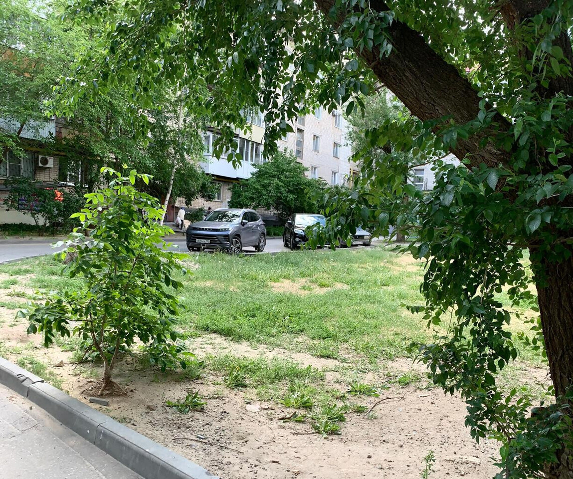 квартира г Волгоград р-н Ворошиловский ул Каменская 10 фото 23