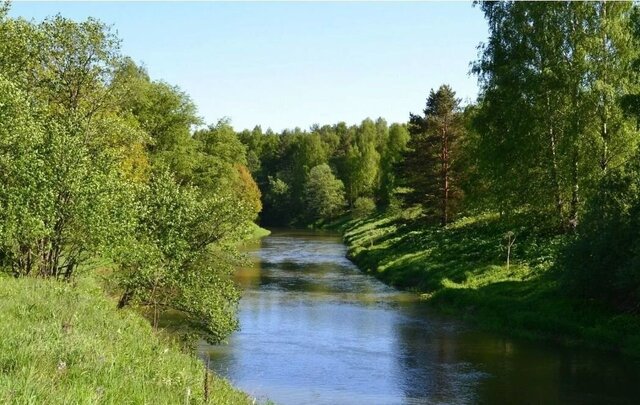 п Нагорное 28 км, Лесной, Ярославское шоссе фото