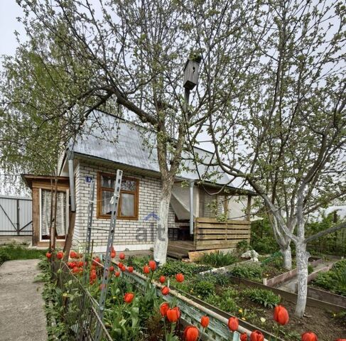 снт терСтолетник 9 фото
