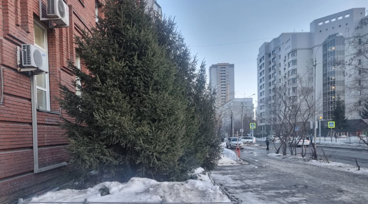 квартира г Новосибирск р-н Центральный Маршала Покрышкина ул Ольги Жилиной 60 фото 30