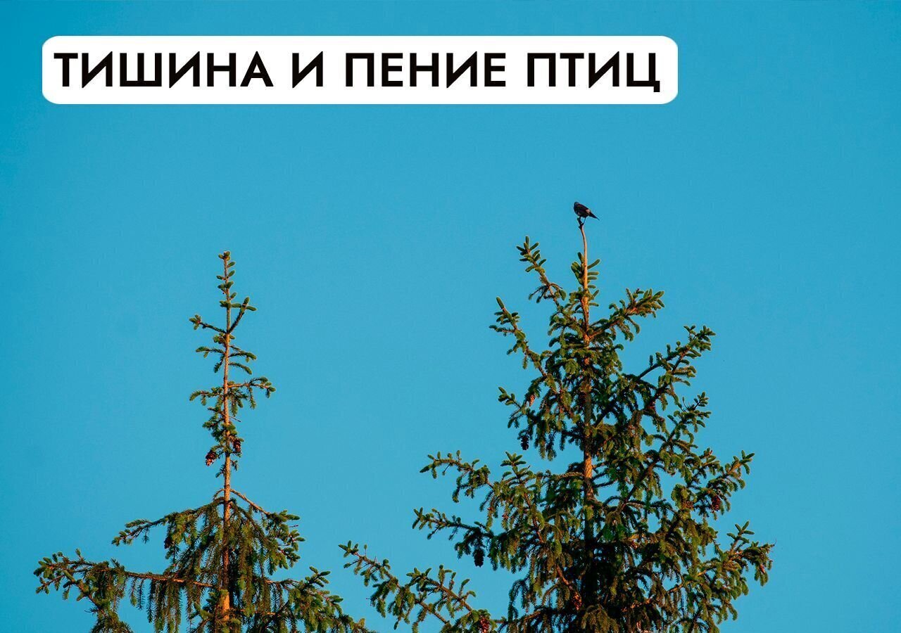 земля г Клин 54 км, эко-посёлок Ели Эстейт, Новопетровское, Ленинградское шоссе фото 32