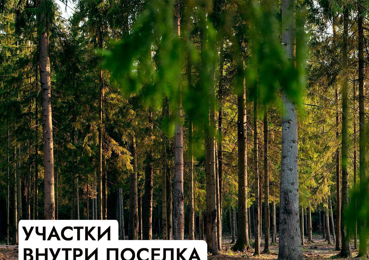 земля г Истра 25 км, коттеджный пос. Аносино Парк, Рождествено, Волоколамское шоссе фото 15