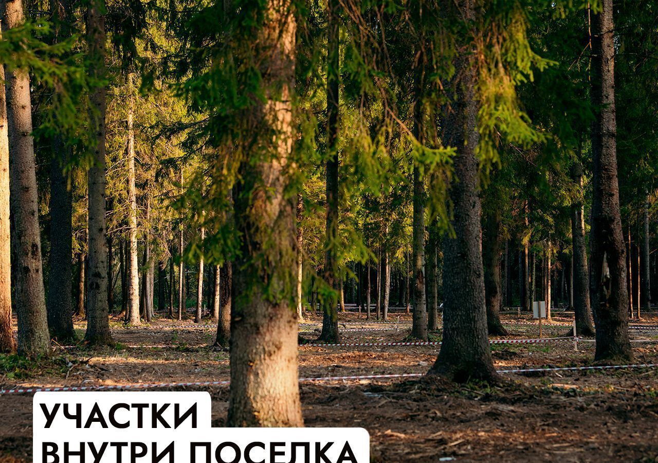 земля г Истра 25 км, коттеджный пос. Аносино Парк, Рождествено, Волоколамское шоссе фото 18