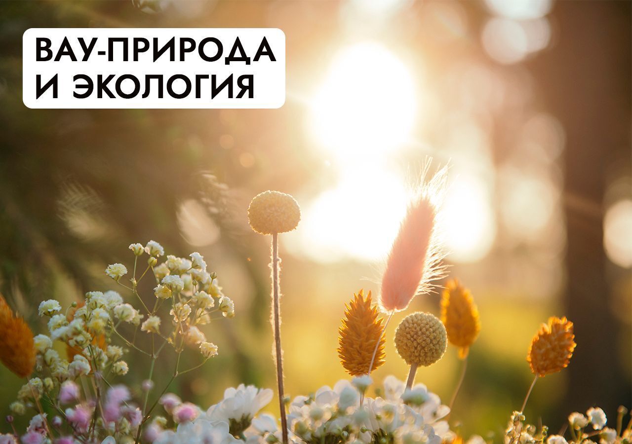 земля г Истра 25 км, коттеджный пос. Аносино Парк, Рождествено, Волоколамское шоссе фото 29