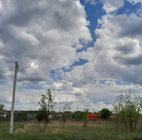ул Земляничная Плехановский сельсовет, Ново-Заречное кп фото