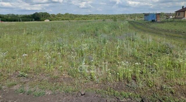 Восточный ул Виктора Лосева Восточный округ фото
