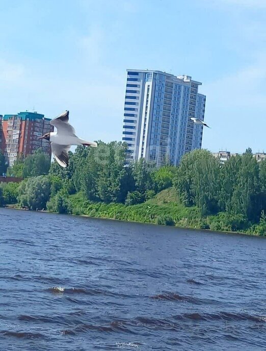 квартира г Пермь ул Кировоградская 68а Кировский район фото 1