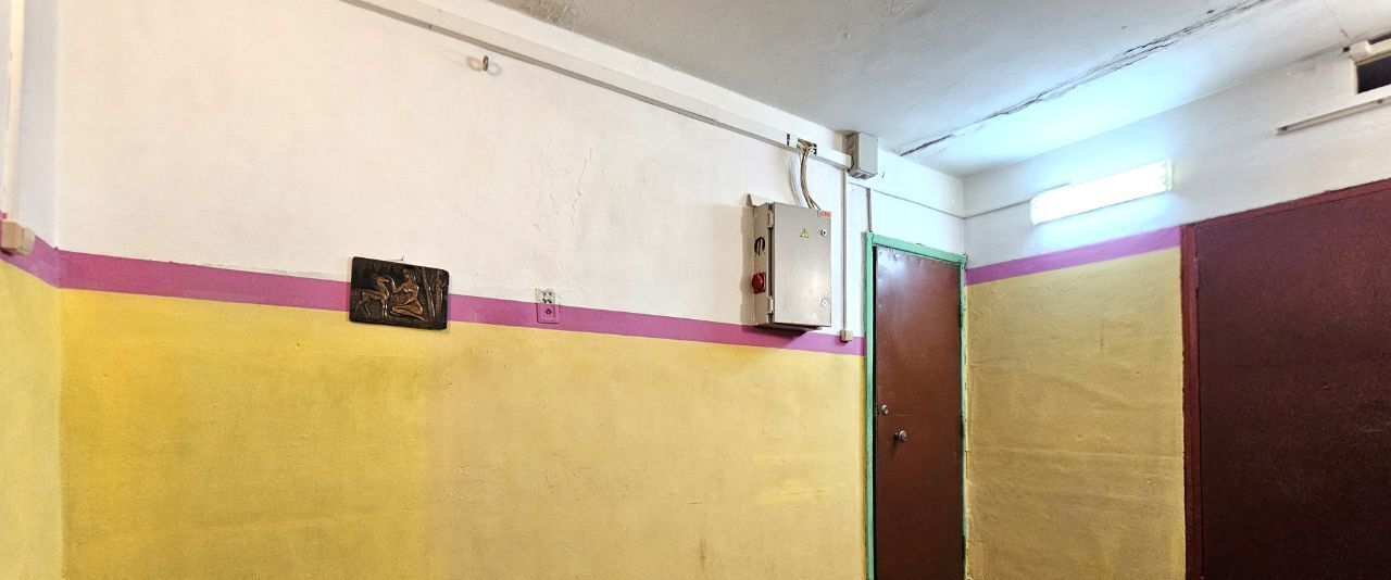 квартира г Колпино б-р Трудящихся 33к/3 Шушары фото 22