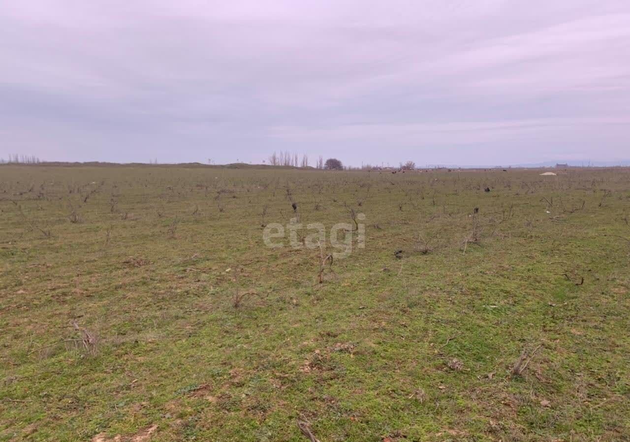 земля г Каспийск снт Рассвет Кумторкалинский р-н, Махачкала фото 1