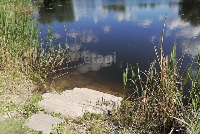 р-н Железнодорожный Репное пер Первомайский фото