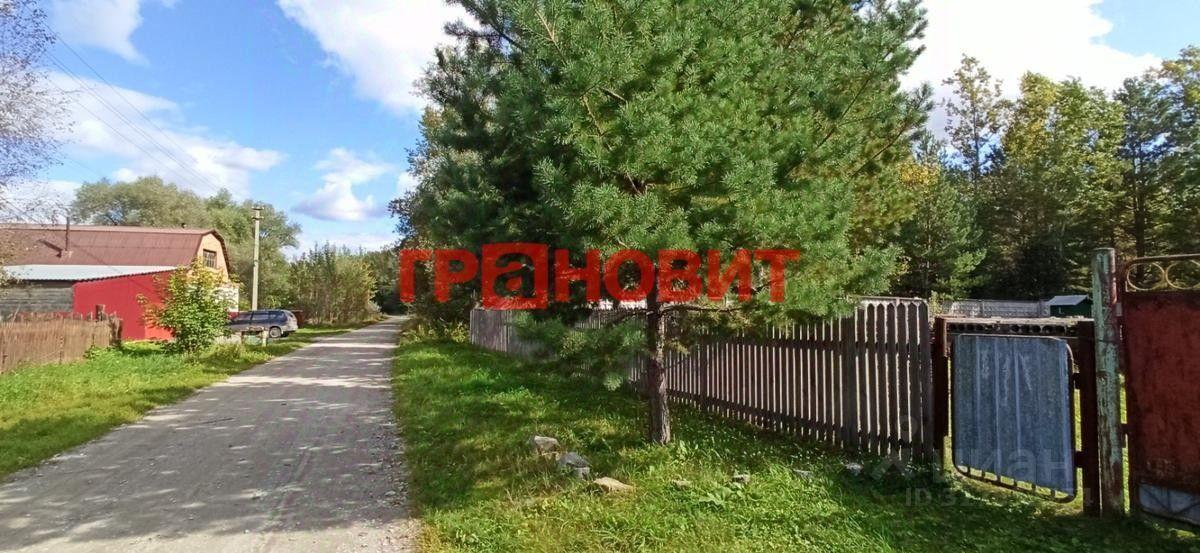 земля г Искитим ул Береговая 152 фото 17