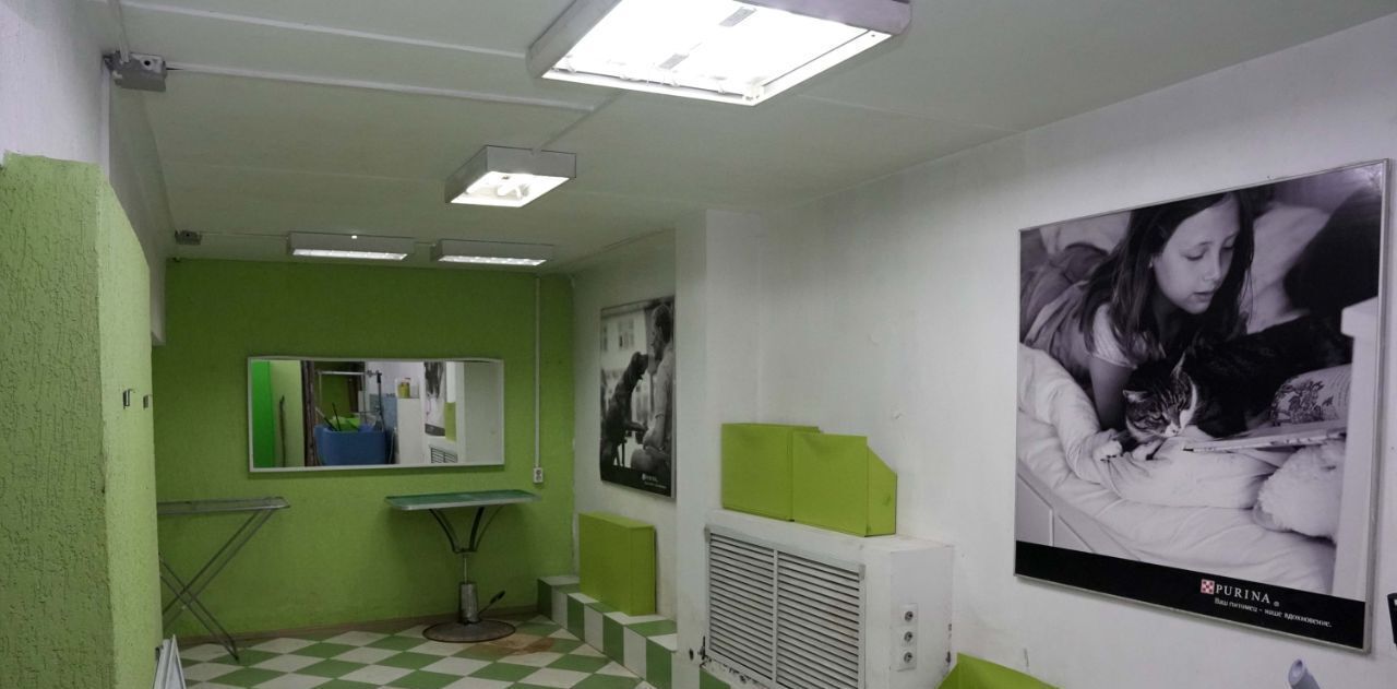 свободного назначения г Екатеринбург р-н Чкаловский Чкаловская ул Чайковского 62 фото 9