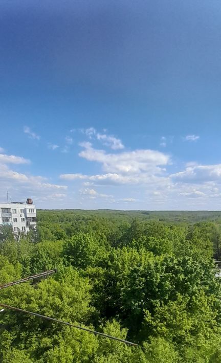 квартира г Самара п Управленческий ул Крайняя 19 р-н Красноглинский Безымянка фото 22