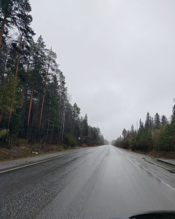 земля г Ревда снт Березовая роща 55, Екатеринбург фото 14