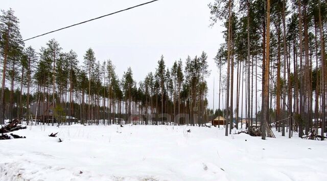 пгт Краснозатонский ул Линейная фото