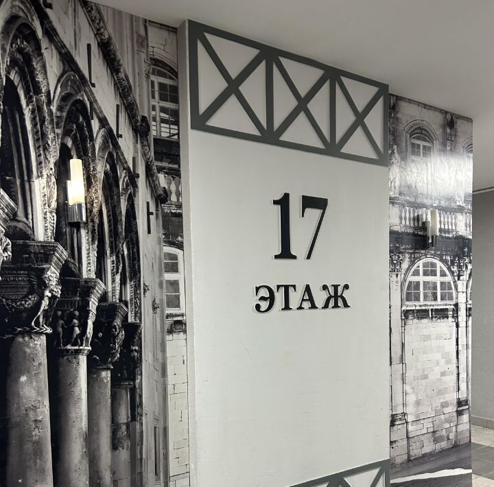 квартира г Воронеж р-н Центральный ул Средне-Московская 62а фото 24
