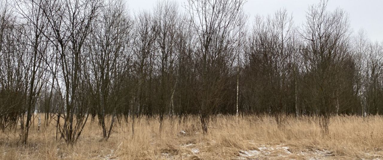 офис г Кашира д Базарово фото 1