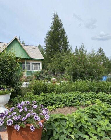 п Серебряный Бор Серебряный Бор, Республика Саха Якутия фото