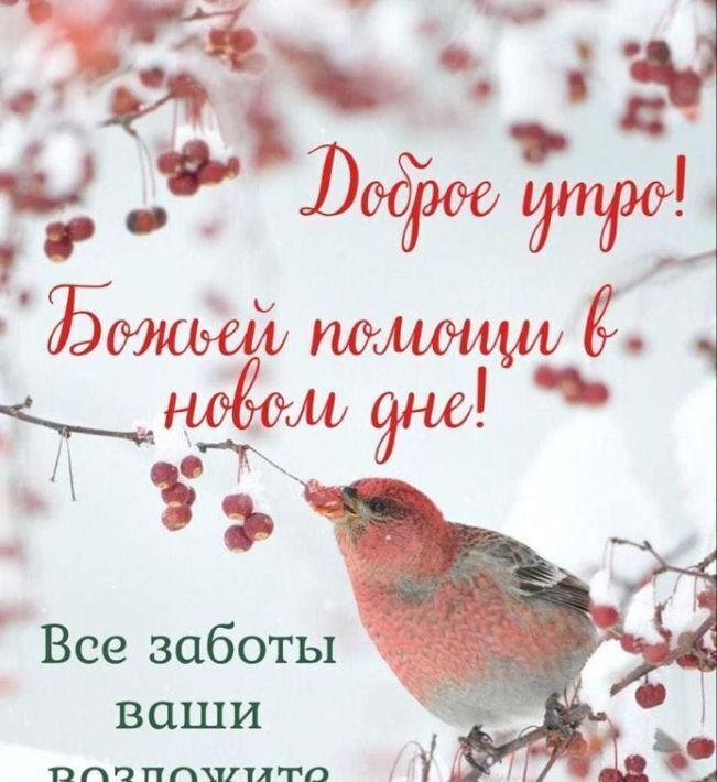 комната г Курск р-н Железнодорожный ул Театральная 78а фото 5