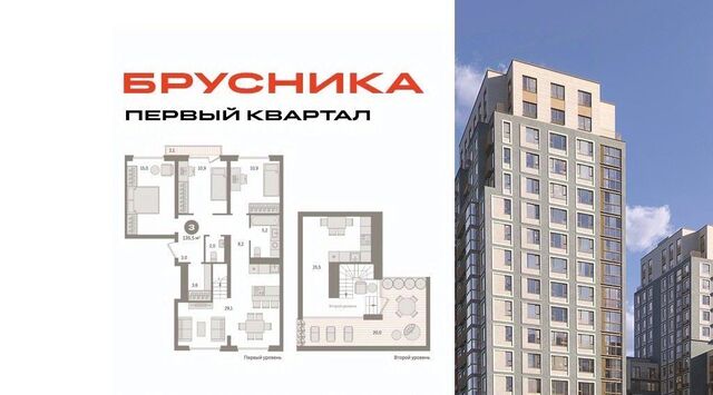 6 Бирюлёво фото