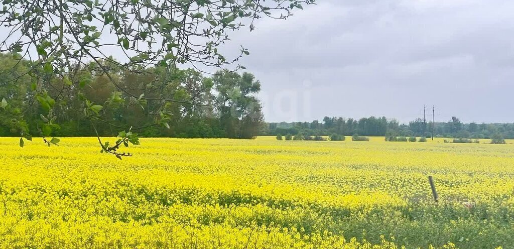 земля р-н Гурьевский г Гурьевск фото 9