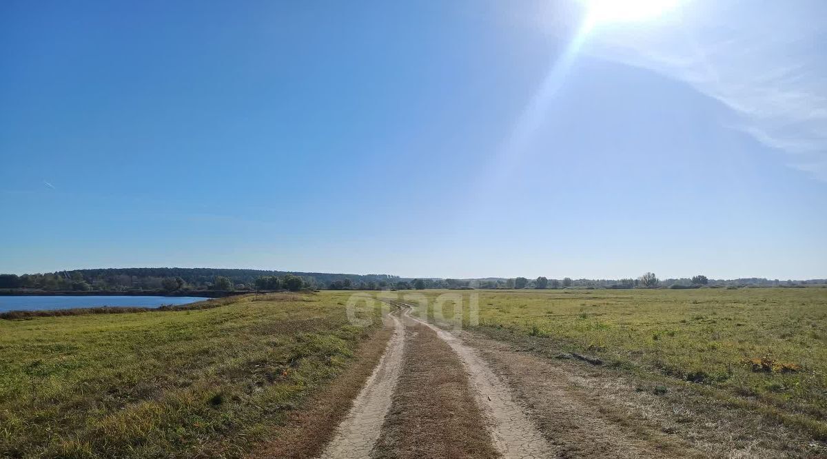земля г Выкса рп Шиморское фото 3
