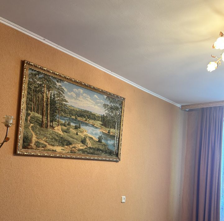 квартира г Чехов ул Гагарина 106 фото 5