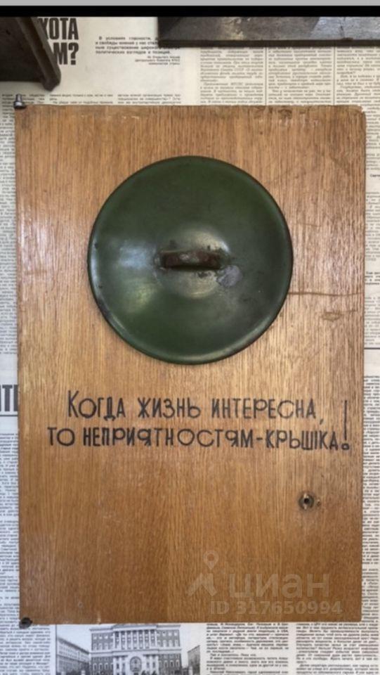 квартира г Санкт-Петербург р-н Петроградский ул Большая Пушкарская 21б округ Кронверкское, Ленинградская область фото 25
