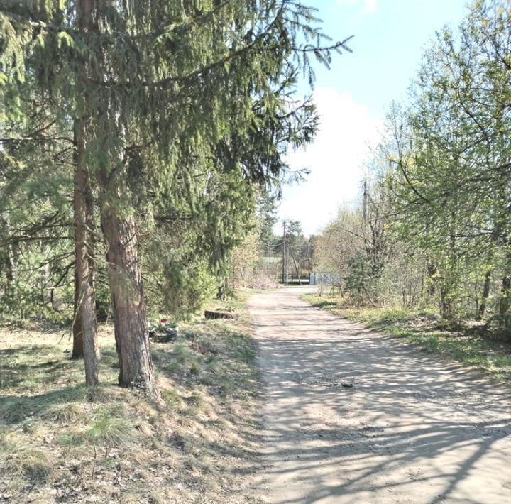 дом городской округ Богородский г Ногинск тер Боровое фото 17