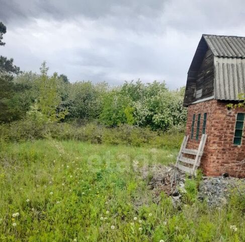 снт Энергия аллея 12-я, Азовский Немецкий Национальный район фото